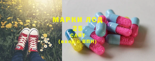 ECSTASY Белокуриха